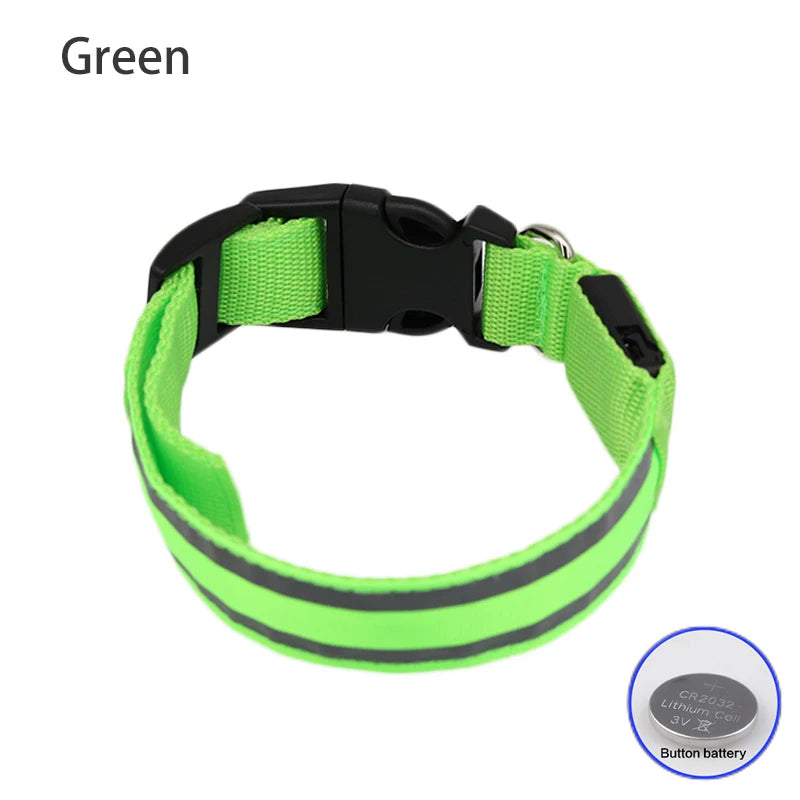 Green reflective dog collar with black buckle on a white background
