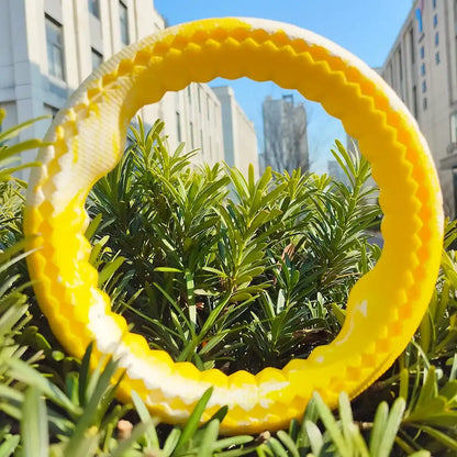Pet dog rubber bite ring, bite resistant grinding training, interactive companionship for large, medium, and small dogs