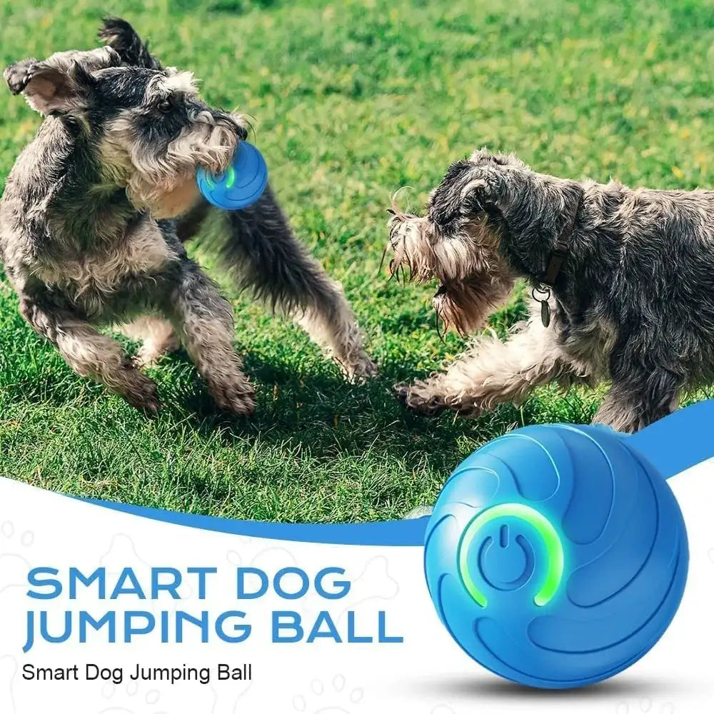 Pet Toy Ball with Tail Rope，Smart Automatic Pet Chase Ball Toy, Upgraded Speedy Tail Kitten Toy for Bored Indoor Adult Pets