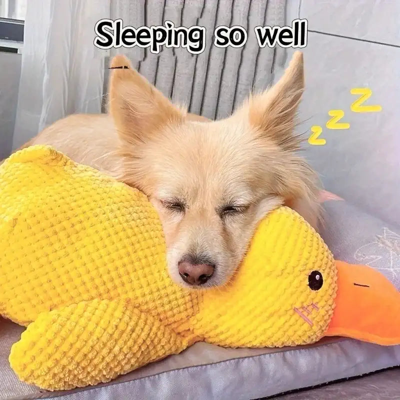 Calming Duck Toy for Dog,Soothing Plush Pet Toys with Sound Quack, Pet Interactive Companion, Chew-Resistant Chew Dogs Cat Toy