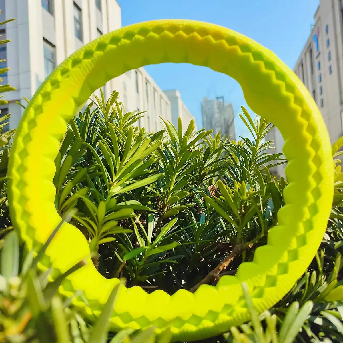Pet dog rubber bite ring, bite resistant grinding training, interactive companionship for large, medium, and small dogs