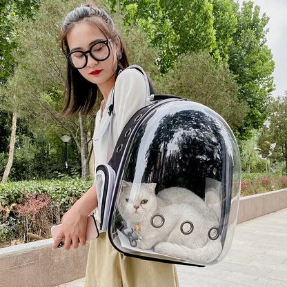 Transparent pet bag, pet backpack, breathable and wear-resistant, small dog backpack, cat backpack for going out.