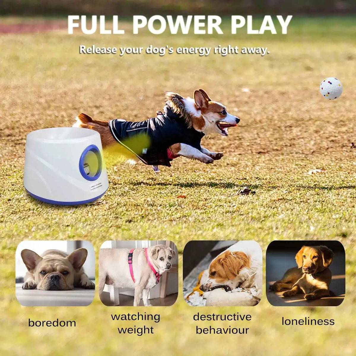 6pcs ETPU Dog Balls Are More Durable Safer Elastic & Easy To Clean Great For Long Play Best Gift For Your Dog Automatic Launcher
