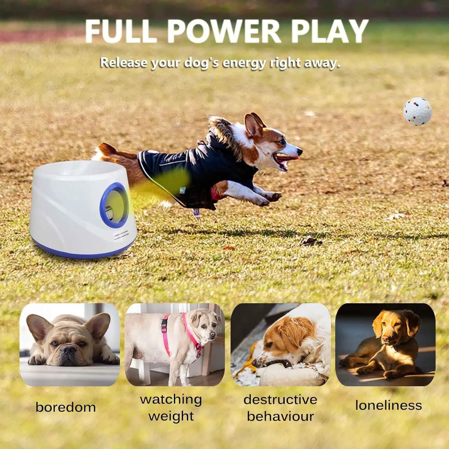 6pcs ETPU Dog Balls Are More Durable Safer Elastic & Easy To Clean Great For Long Play Best Gift For Your Dog Automatic Launcher