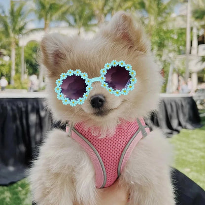 Pet Accessories Flower Sunglasses Circular Role Playing Glasses Photo Props Glasses For Cats And Small And Paracord Dog Leash