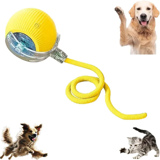 Pet Toy Ball with Tail Rope，Smart Automatic Pet Chase Ball Toy, Upgraded Speedy Tail Kitten Toy for Bored Indoor Adult Pets